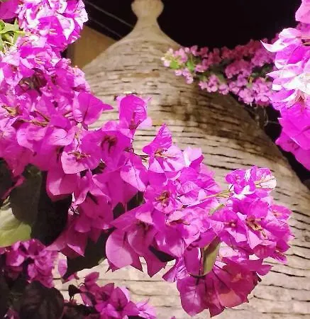 Bed & Breakfast Trulli Antica Fonte Alberobello
