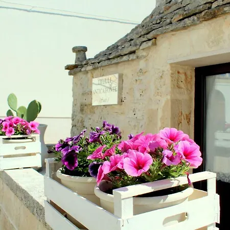 Trulli Antica Fonte アルベロベッロ